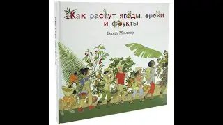 Как растут ягоды, орехи и фрукты? (иллюстрации Герды Мюллер)