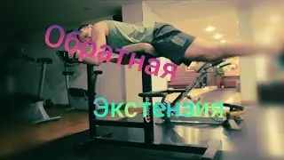 Ягодичные мышцы / Обратная экстензия 