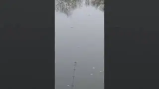 Весна пришла с попловочком хорошо  половить!