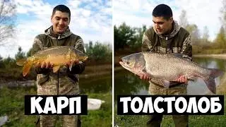 Пруд на участке. Рыбалка сетями. Рыбалка.