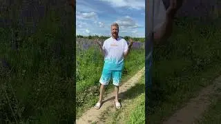 Как выбрать обучение для отдела продаж. Подробности в описании