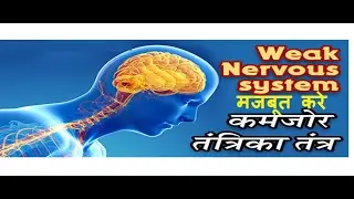 तंत्रिका तंत्र Nervous System को मजबूत करने के उपाय | Improve your nervous system naturally  [hindi]