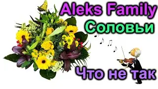 Aleks Family in USA. Соловьи. Что то не так