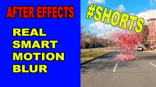 🌳Real Smart Motion Blur 🌳After Effects  