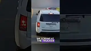 Road Raging Karen Brake Checks Semi Truck