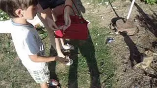 обезьянка