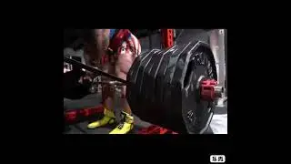 Woooow strong sweet bear