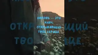 Любовь — это...