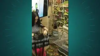 Хоря хочет дружить с Шушей и Шушиком!