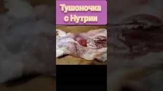 ТУШОНКА ИЗ НУТРИИ.CARCINA FROM NUTRIA.