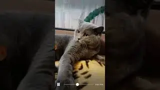 #оклайф