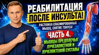 Растяжка мышц предплечья, снятие спастики, тренировка подъема кисти и поворотов ладони.
