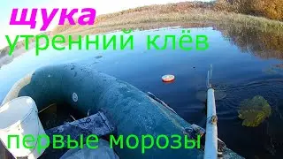 Ловля щуки в первый мороз! Ловля на жерлицы и кружки! #Щука