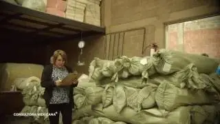 5 errores que te llevaran a perder tu dinero