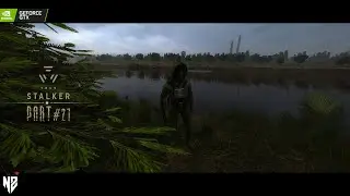 True Stalker - Mysterious Death pt. 1 #21 (Полное прохождение)