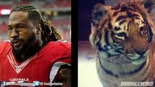 NFL Player Gets A Pet Tiger @hodgetwins