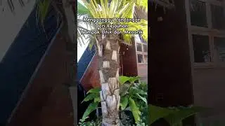 Villa Segitiga dari Kayu Ulin atau Kayu Besi