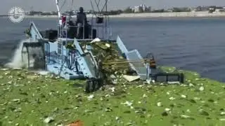 How are India's rivers getting cleaner