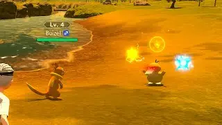 Psyduck uses Tri Attack - Pokémon Legends: Arceus