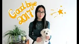 Sky Snapshot 2017 | Resolutions, Weekday Vegetarianism & Etc