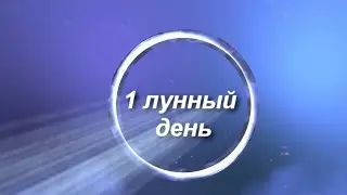 1 лунные сутки