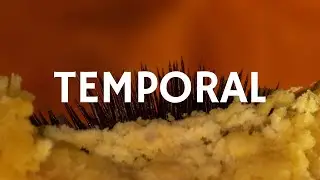 Carne Doce - Temporal (Libras e letra)