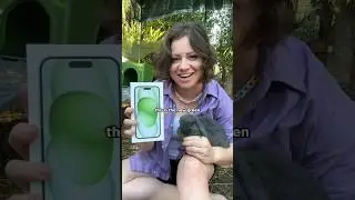 Green iPhone 15 unboxing ft. bunny rabbit #iphone15 #apple #tech