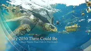 Ocean Plastic Crisis