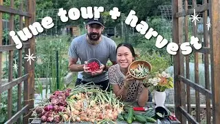 JUNE 2024 GARDEN TOUR & HARVEST