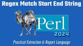Learn Perl 2024: Regex Match Start & End Of String Code Example