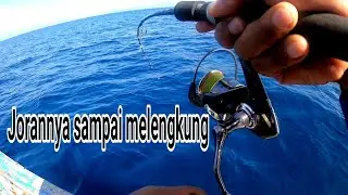 Umpan udang hidup jadi rebutan di spot ini !! mancing dasaran di laut