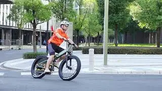 DAYLYRIDE Wolf