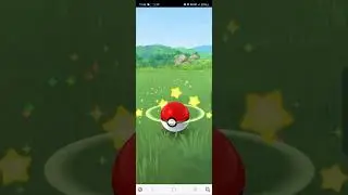 Catching Pokémon   