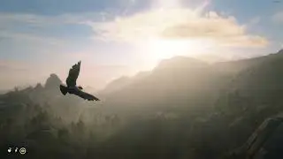 Fly with a Pigeon from Midday to Sunset - RDR2