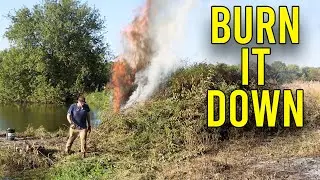 I Burned Down My WOOD DUCK HOLE