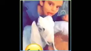 أفضل مترجم في العالم ههه 🤣