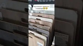 Круговорот ламината в природе 😂😂 #работа #shorts  #short
