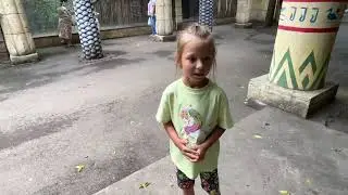VLOG: Краснодар / Сафари парк / Зоопарк ,цена ,обзор