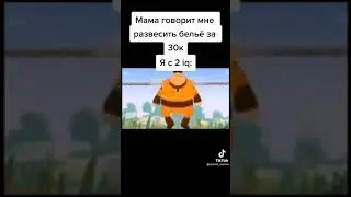 2iq