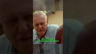 КЕРРИ ФАРМИТ