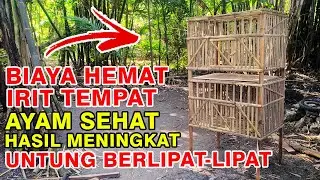 CARA MEMBUAT KANDANG AYAM TINGKAT
