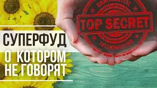 Мифы и факты о семечках подсолнечника: суперфуд, о котором не говорят