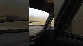 металлокоп под дождëм