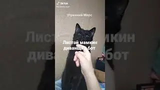 ттллопо