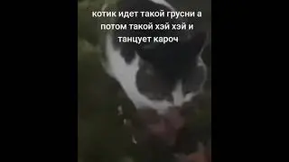 ну это жиза #shaorts #shorts