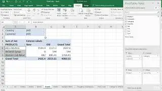 EXCEL : Pivot Table : How to create Multiple filters in a Pivot table in excel