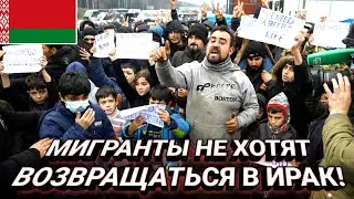 Новости в Беларуси сегодня 26 ноября. Лукашенко, Мигранты, События. Новости дня.