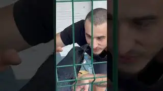 #animal #crow #commonraven #ravenbird #воронгоша #animals #raven