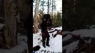 ТЕТЕРЕВ НАПАЛ НА ЛЕСОЗАГОТОВИТЕЛЯ)