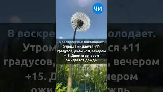 💭 Прогноз погоды на выходные дни.💭